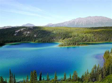 Yukon Gold Experience Feat Emerald Lake And Carcross Epic North Tour