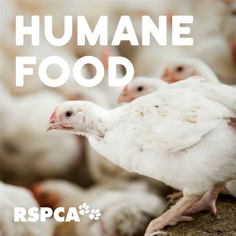 Rspca Australias Humane Food Podcast Iheartradio