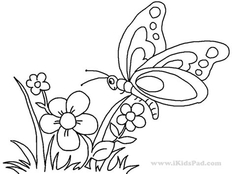 Your kid probably loves to catch and. Get This butterfly on flower coloring pages - 893ag