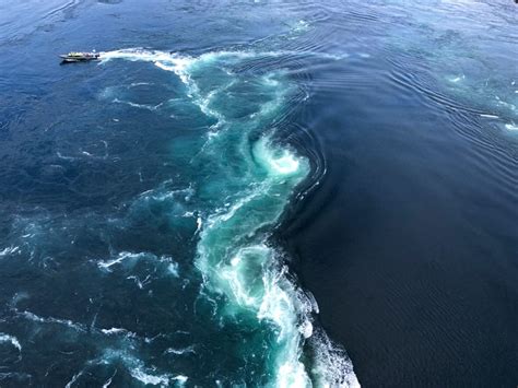 Visiting Saltstraumen Maelstrom From Bodø Tips What To Expect