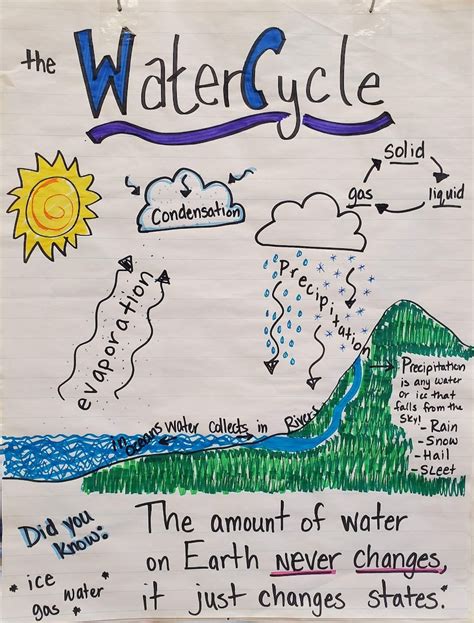 Water Cycle Anchor Chart Etsy