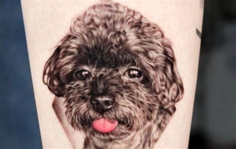 19 Poodle Tattoo Ideas The Dogman