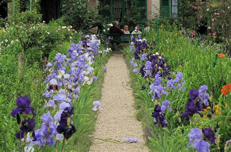 Enjoy this skip the line ticket. Giverny: Iris blüht im Garten Claude Monets | Im Garten ...