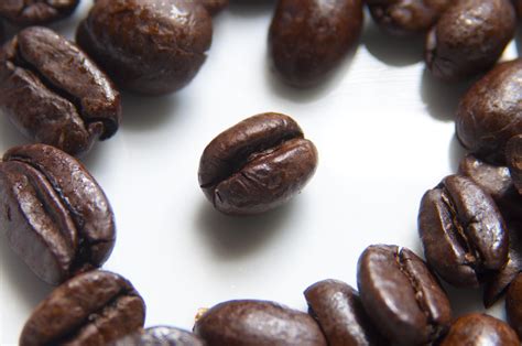 Filecoffee Beans Photographed In Macro Wikimedia Commons