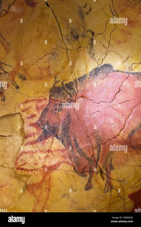 Höhlenmalerei Steinzeit Altamira Fotos Und Bildmaterial In Hoher