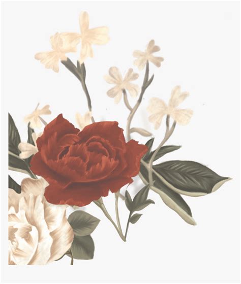 Shawn Mendes Album Flowers Hd Png Download Kindpng