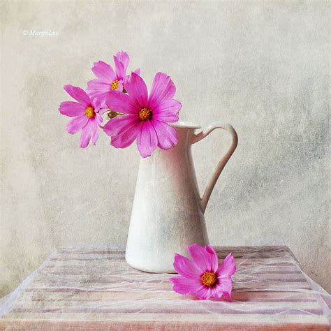 Paris Still Life Flowers In Vase Photography