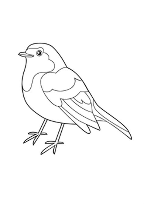 Coloring Pages Robin Bird Coloring Pages For Kids