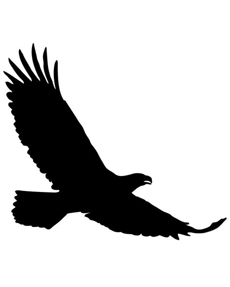 Soaring Eagle Drawing Free Download On Clipartmag