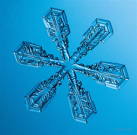 100 Snowflake Photos By Mark Cassino