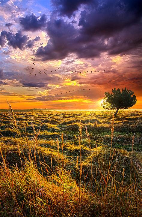 Every Story Has A Beginning Photograph By Phil Koch Fine Art America