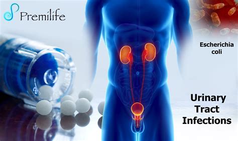 Urinary Tract Infections Premilife Homeopathic Remedies