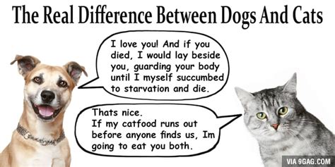 The Real Difference Between Dogs And Cats 9gag