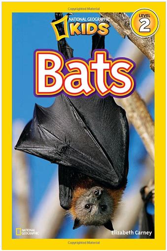 Bats can't launch to fly (from the ground) because their wings don't provide enough lift, and they cannot leap like a bird to get started. School Is a Happy Place: Going Batty: A Mentor Science Text and Two Free Bat Activities