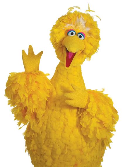 Everyone Has A Sesame Street Character That Matches Their Personality