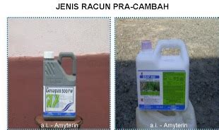Pada perkembangannya muncul beberapa jenis herbisida yang bekerja secara spesifik. Anim Agro Technology: RACUN PRA CAMBAH