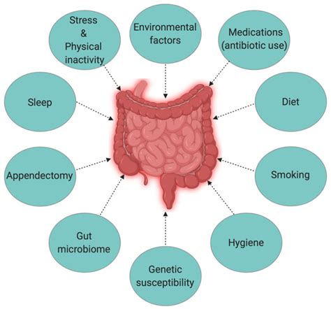 The Interplay Of Factors Causing Inflammatory Bowel Disease Ibd Download Scientific Diagram