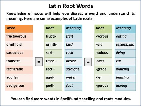latin root words root meaning parts of speech spelling