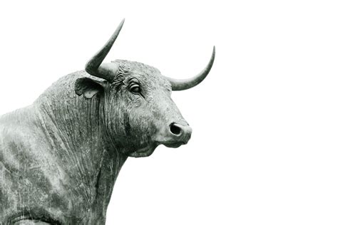 P2p transactions cut out the middlemen like banks and, because of this, bitcoin is a truly disruptive technology. These Simple Factors Show Why Bitcoin's Recent Rally was So Important