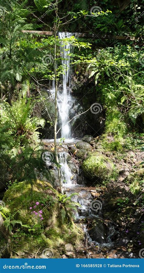 Small Waterfall In The Forest On A Sunny Summer Day Stock Photo Image