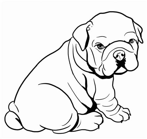 Bulldog Coloring Pages Best Coloring Pages For Kids