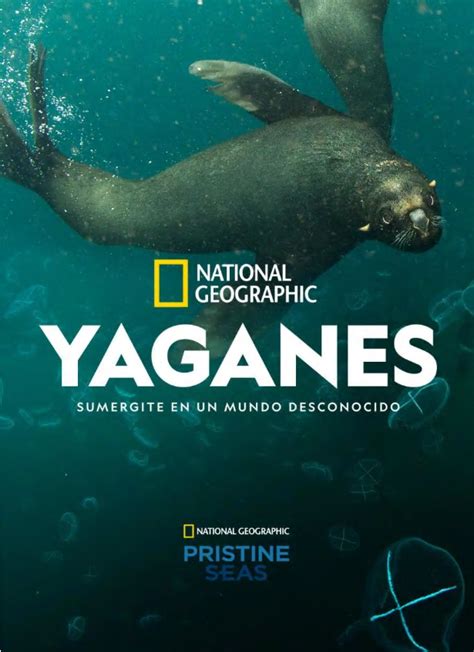 National Geographic Released The Documentary Yaganes The Forum For