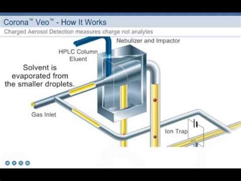 Charged aerosol detection charged aerosol detection measures signals that are in direct proportion to the amount of analytes present in a sample. Corona Veo Charged Aerosol Detector - YouTube