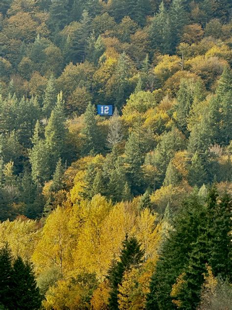 Ghostly building : r/SeattleWA