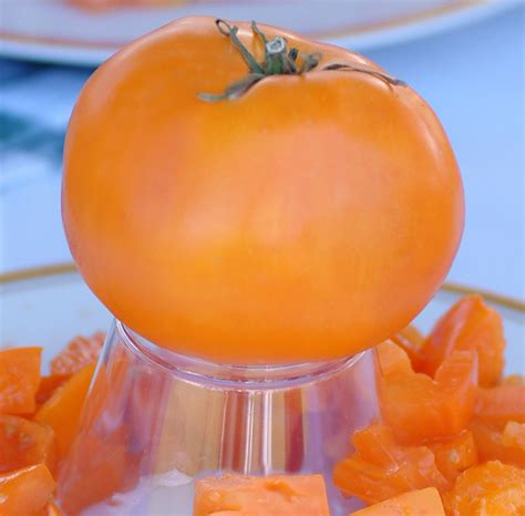 Orange Beefsteak Tomato A Comprehensive Guide World Tomato Society