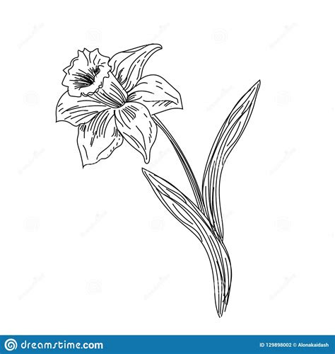 Visualizza altre idee su disegni, disegni a matita, schizzi. Disegno A Matita - Fiore, Disegno A Matita Illustrazione ...