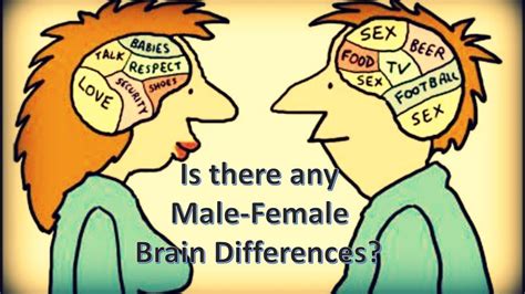 Is There Any Male Female Brain Differences Youtube