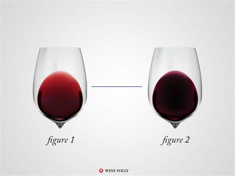 6 traits of the world s healthiest wines wine folly