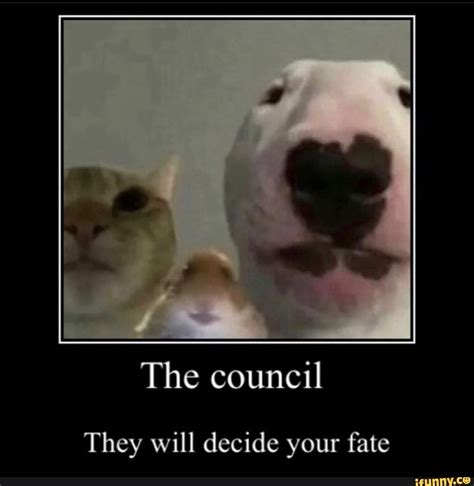 The Council They Will Decide Your Fate Popular Memes On The Site