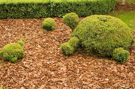 Topiary Shrubs Topiary Gardens Garden Gateways Designs