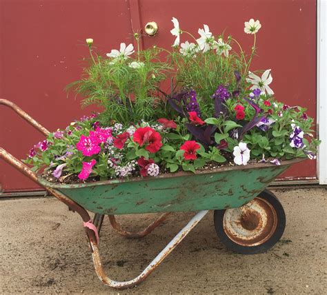 Wheelbarrow Turned Planter Wheelbarrow Planter Garden Beds Wheelbarrow