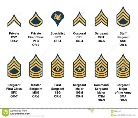 Army Enlisted Rank Insignia Stock Vector Illustration Of Command