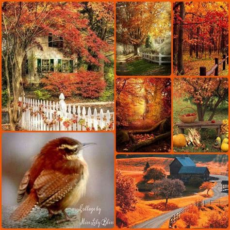 Pin By Cheryl Farnsworth On Collage Fall Pictures Autumn Scenes