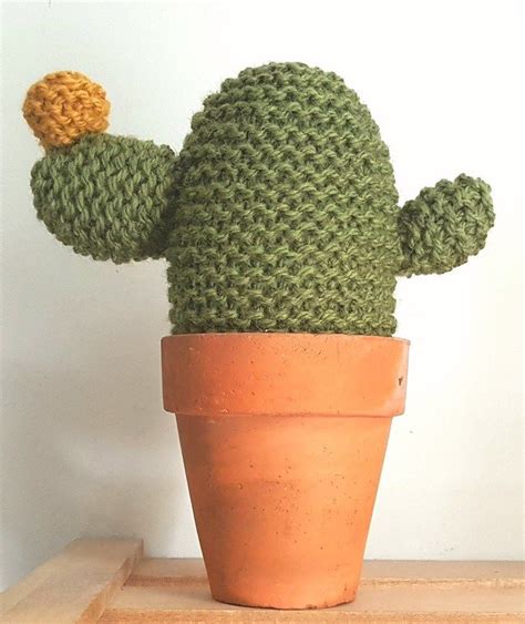 Learn To Knit Our Knitted Cactus Learn To Knit Kit Knitting For