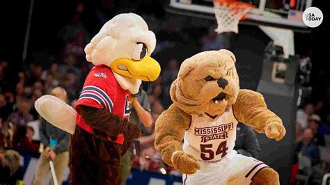 5 Of The Most Common Unoriginal Ncaa Mascots In The Game