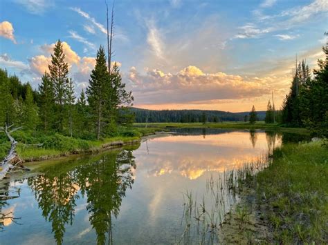 Escaping The World Paddling On Shoshone Lake A Yellowstone Life
