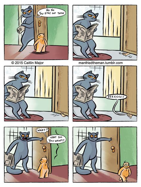 Viralitytoday 18 Comics Showing What Would Happen If Cats And Humans