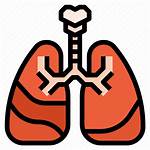 Lung Medical Icon Respiratory Health Icons Editor