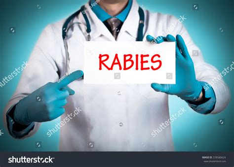 Doctor Keeps Card Name Diagnosis Rabies Stock Photo 378580624