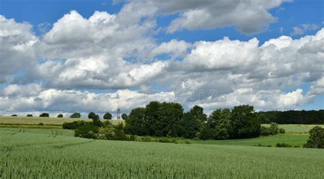White Clouds Blue Sky Green Fields Summer Stock Photo Image Of