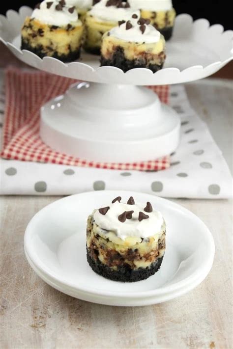 Mini Chocolate Chip Cheesecakes Miss In The Kitchen