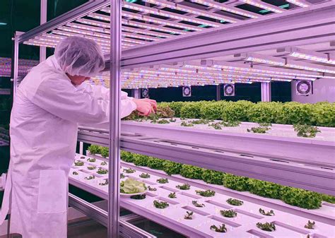 Why The Indoor Farming Movement Is Taking Off