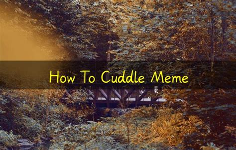 How To Cuddle Meme