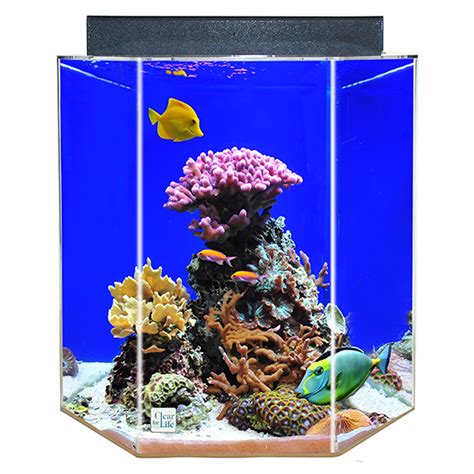 Clear For Life Gallon Hexagon Aquarium Fish Aquariums PetSmart Cool Fish Tanks Hexagon