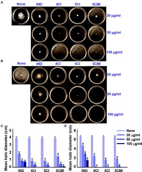 A Swarming And B Swimming Motility Assay Results For Upec In The