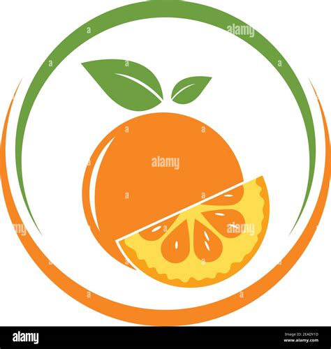Orange Fruit Icon Vector Logo Illustration Template Stock Vector Image